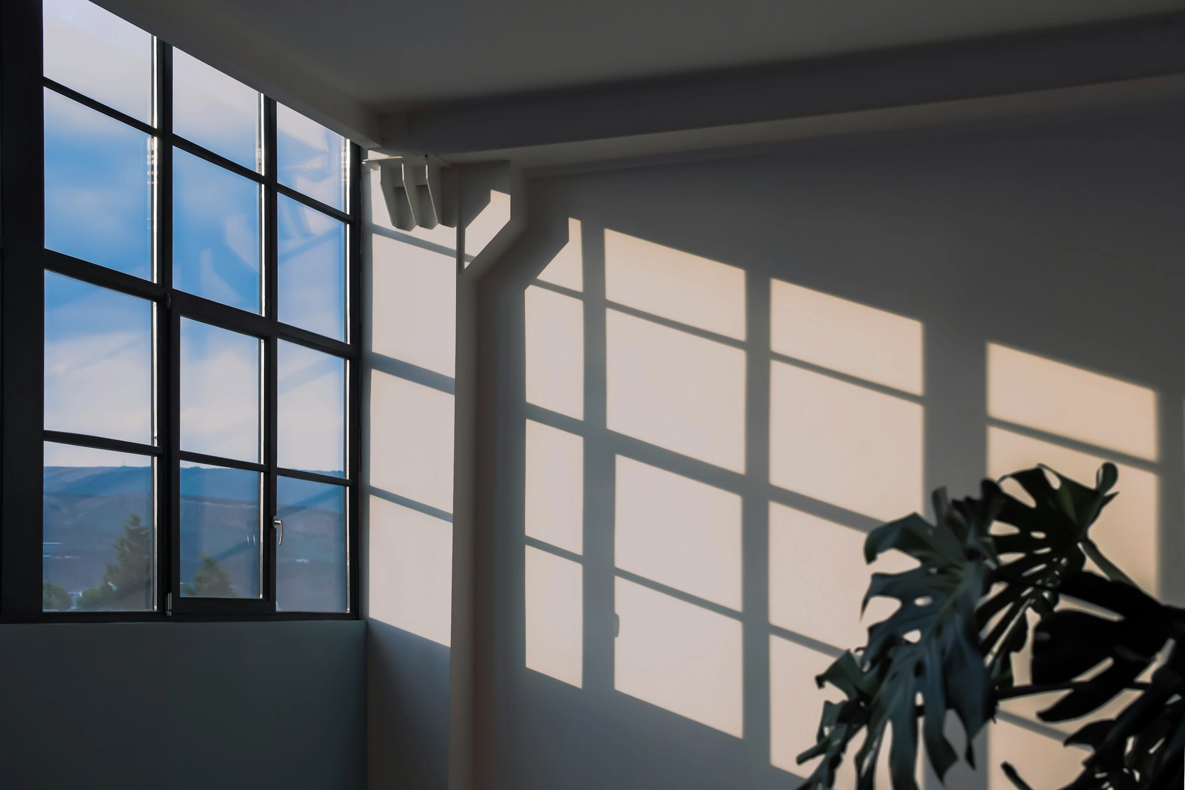 image with windows